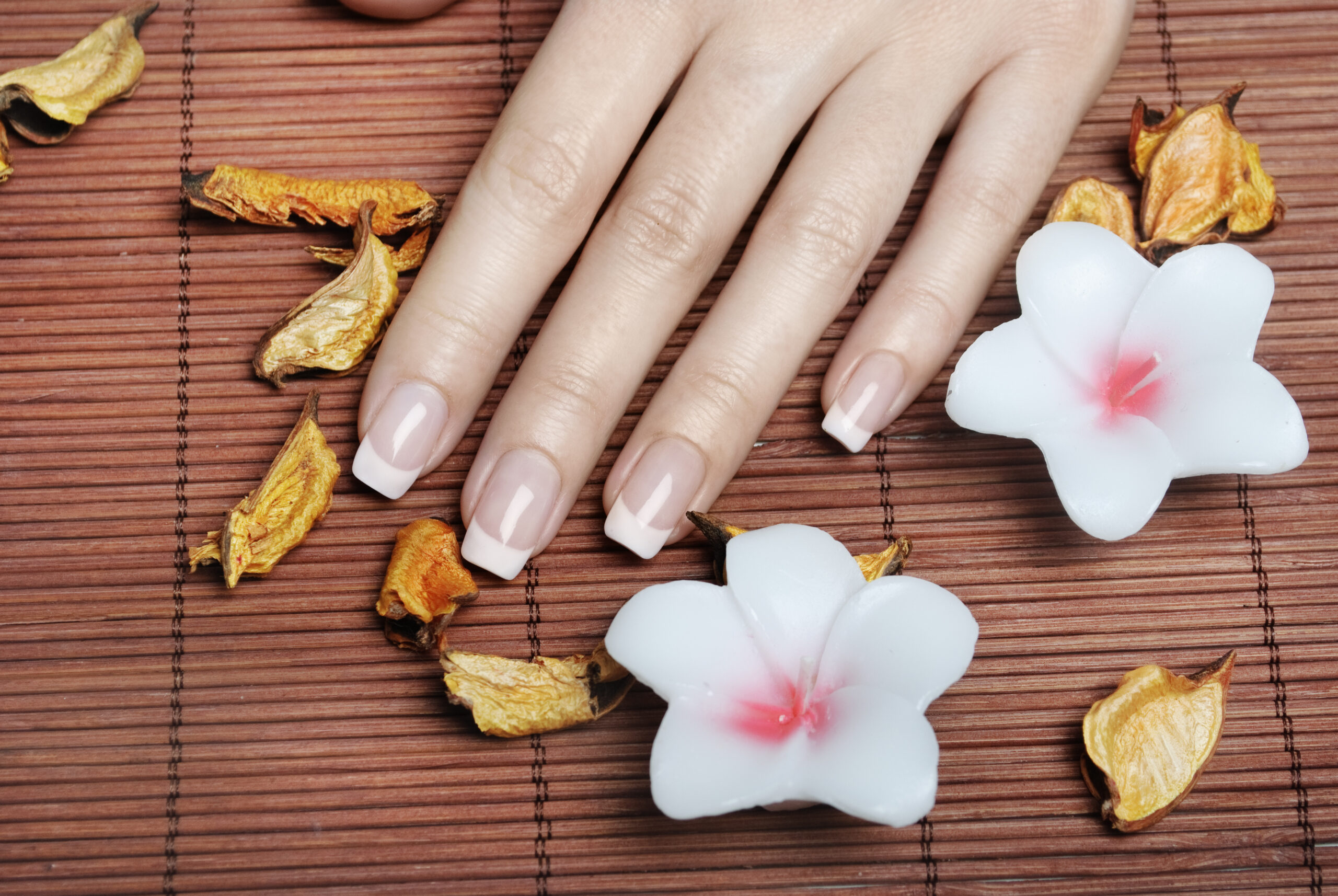 Female hands with french manicure